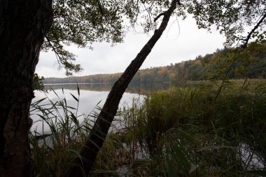Alman dağlar ve ormanlar - bazı Alman ortalama mou sonbahar