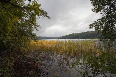 Alman dağlar ve ormanlar - bazı Alman ortalama mou sonbahar