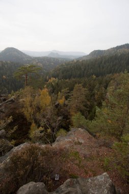 Sonbahar Almanca dağlar ve ormanlar - Sakson İsviçre de bir 