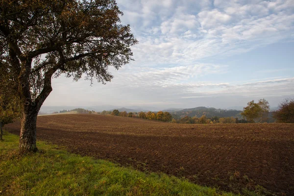 Autunno in montagna e foreste tedesche - La Svizzera sassone è una — Foto Stock