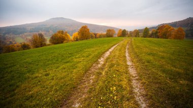 Autumn in german Mountains and Forests - During a hiking tour in clipart