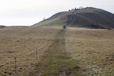 Bir yürüyüş turu sırasında Alman dağlar ve ormanlar - sonbahar