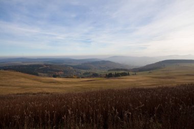 Bir yürüyüş turu sırasında Alman dağlar ve ormanlar - sonbahar