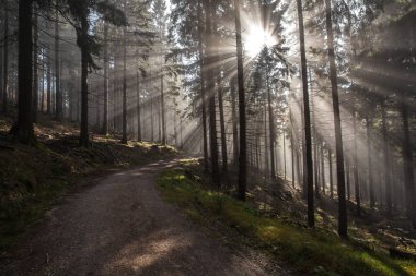 Bir yürüyüş turu sırasında Alman dağlar ve ormanlar - sonbahar