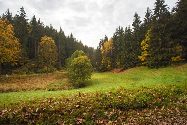 Autunno in montagna e foreste tedesche - La Svizzera sassone è una — Foto Stock