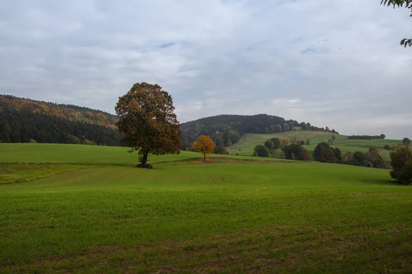 Осінь у німецьких гір і лісів - Саксонська Швейцарія є на — стокове фото