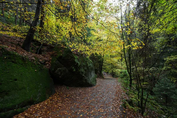 Sonbahar Almanca dağlar ve ormanlar - Sakson İsviçre de bir — Stok fotoğraf