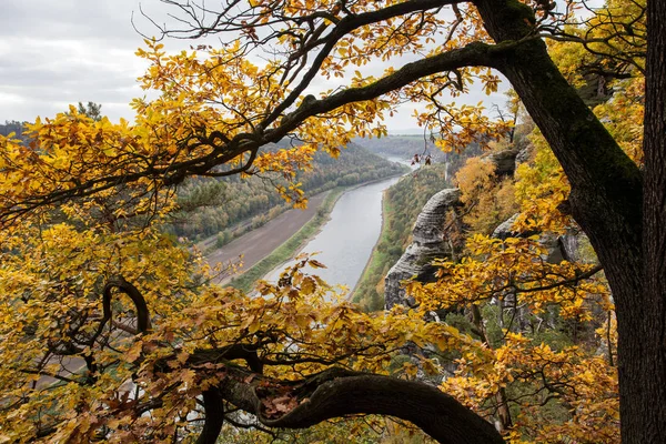 Herfst in Duits bergen en bossen - Saksisch Zwitserland is een — Stockfoto