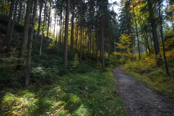 Jesień w niemieckim gór i lasów - Saska Szwajcaria jest — Zdjęcie stockowe