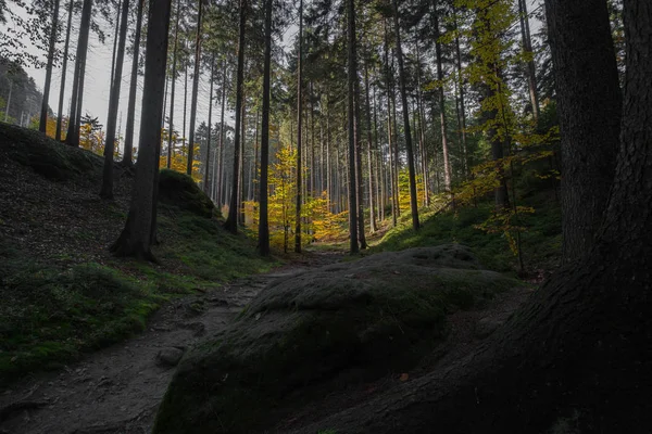 Sonbahar Almanca dağlar ve ormanlar - Sakson İsviçre de bir — Stok fotoğraf