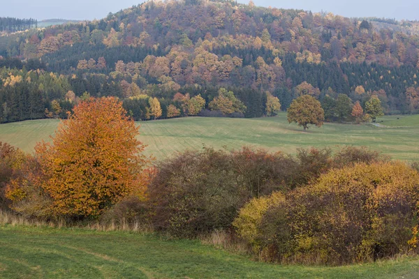 Otoño en montañas alemanas y bosques - Durante una excursión de senderismo en — Foto de Stock