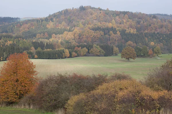 Herbst in deutschen Bergen und Wäldern - bei einer Wanderung in — Stockfoto