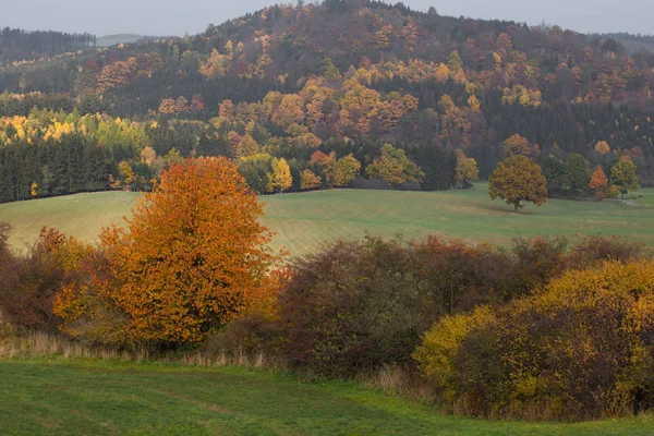 Autunno in montagne e foreste tedesche - Durante una gita a piedi in — Foto Stock