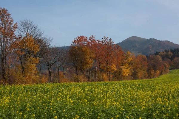 Otoño en montañas alemanas y bosques - Durante una excursión de senderismo en — Foto de Stock