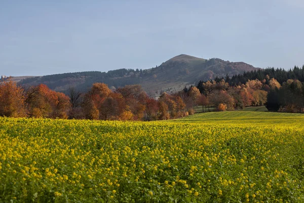 Otoño en montañas alemanas y bosques - Durante una excursión de senderismo en — Foto de Stock