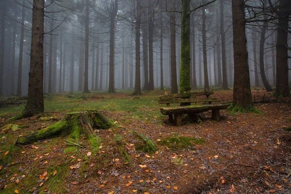 Automne en allemand Montagnes et forêts - Au cours d'une randonnée dans — Photo