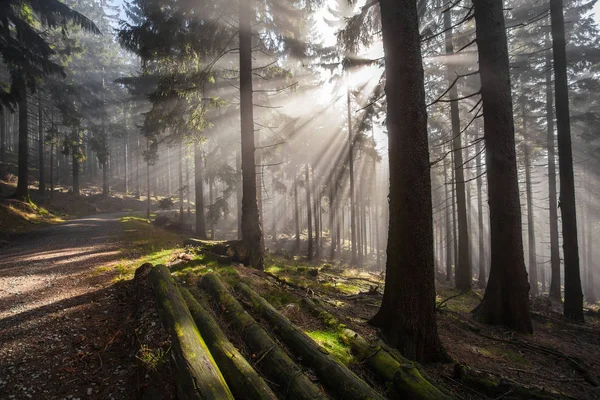 Automne en allemand Montagnes et forêts - Au cours d'une randonnée dans — Photo