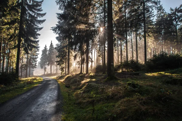 Automne en allemand Montagnes et forêts - Au cours d'une randonnée dans — Photo