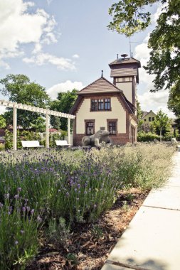 Yeşil Alman Spreewald Kanallar.