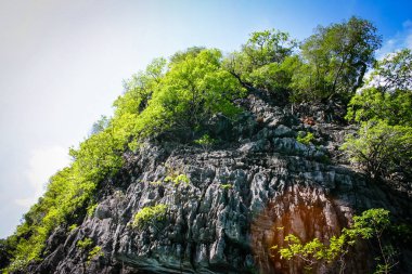 Okyanusta büyük ve büyük kayalar. Yeşil için küçük adalar