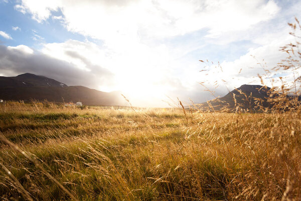 Прекрасный свет над лугом во время восхода солнца. Close to the groun
