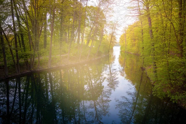 Bela luz solar na primavera durante um passeio pela floresta no lago si — Fotografia de Stock