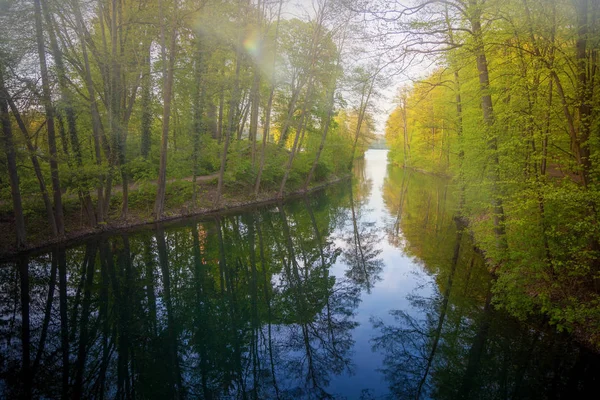 Bela luz solar na primavera durante um passeio pela floresta no lago si — Fotografia de Stock