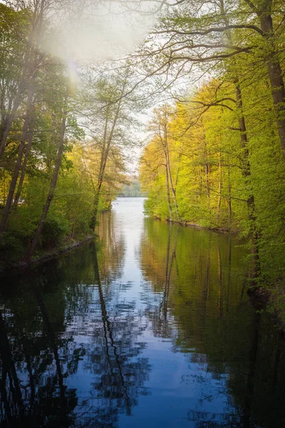 美丽的阳光在春天在森林漫步在湖 si — 图库照片