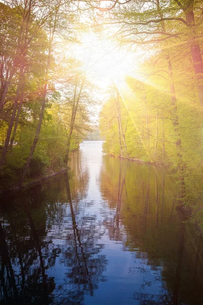 Bela luz solar na primavera durante um passeio pela floresta no lago si — Fotografia de Stock