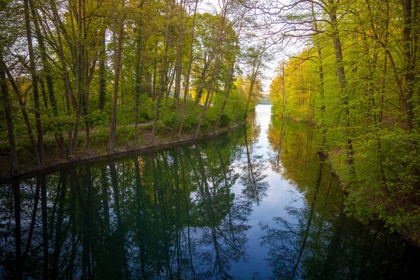 Bela luz solar na primavera durante um passeio pela floresta no lago si — Fotografia de Stock