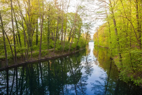 Bela luz solar na primavera durante um passeio pela floresta no lago si — Fotografia de Stock