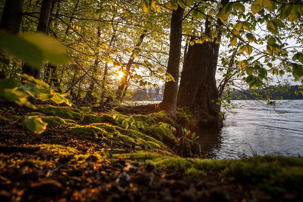 Belo pôr-do-sol na margem de um lago — Fotografia de Stock