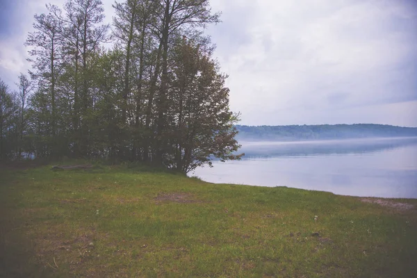 Дождливая погода с туманом и туманом на озере с деревом — стоковое фото