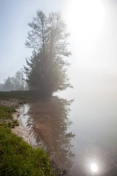 안개와 나무와 호수에 안개와 함께 비가 오는 날씨 — 스톡 사진