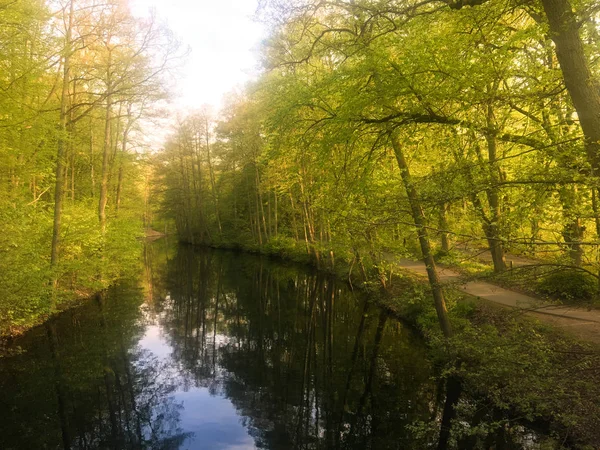 Bela luz solar na primavera durante um passeio pela floresta no lago si — Fotografia de Stock