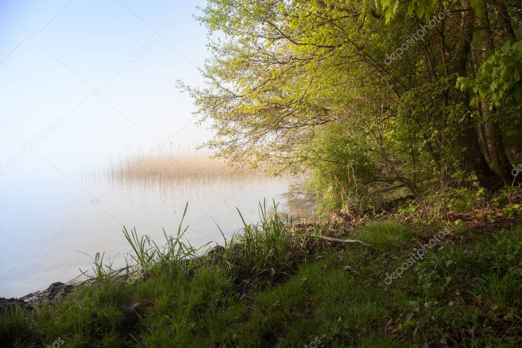 Rainy weather with fog and haze at the lake with tree