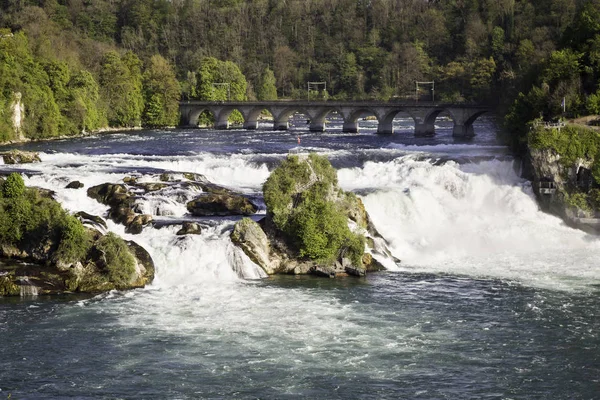 The Rhine Falls Stock Image