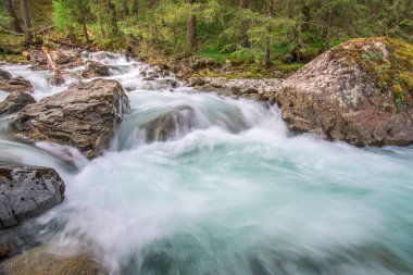 Ormandaki nehir dağ acele