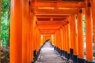 Kırmızı Tori kapıda Fushimi Inari tapınak tapınak Kyoto, Japonya