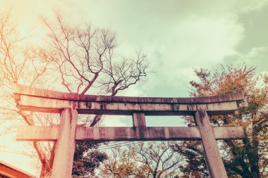 Fushimiinari Taisha Shrinetemple Kyoto, Japonya
