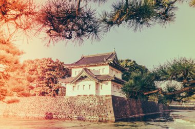 Tokyo, Japonya (Filtered pro görüntü güzel İmparatorluk Sarayı