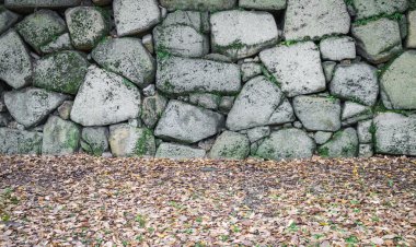 Taş duvar dokusu arkaplanı
