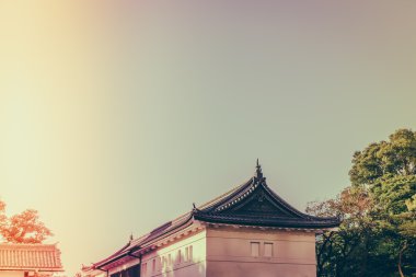 Tokyo, Japonya (Filtered pro görüntü güzel İmparatorluk Sarayı