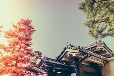 Tokyo, Japonya (Filtered pro görüntü güzel İmparatorluk Sarayı