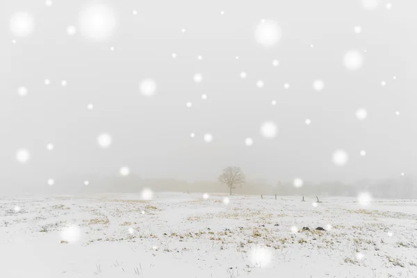 Зимние пейзажи на снегу — стоковое фото