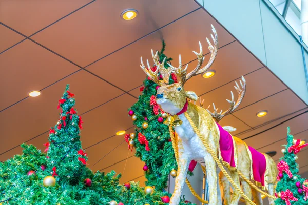 Imagem de decorações de Natal — Fotografia de Stock