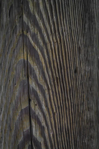 Picture of Picture of Wood texture background