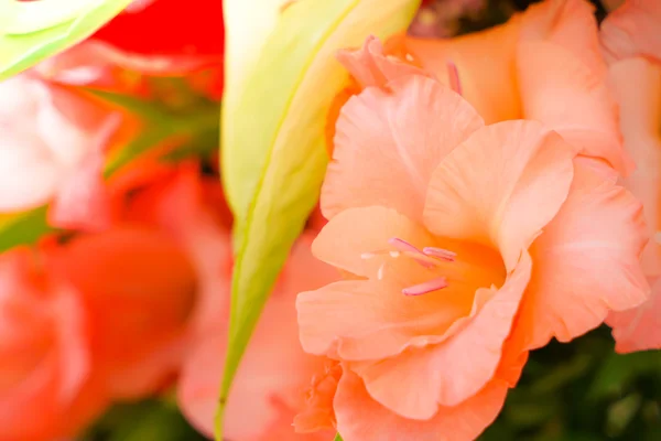 バレンタインや結婚式のシーンの美しい花 — ストック写真