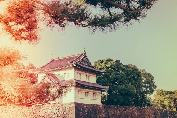 Beautiful keizerlijk paleis in Tokio, japan (gefilterde afbeelding pro — Stockfoto