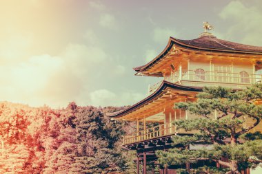 Kinkakuji Tapınağı 